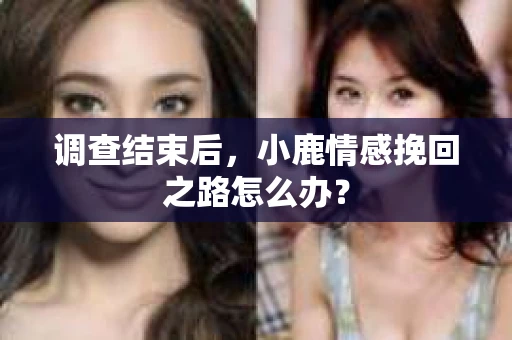 调查结束后，小鹿情感挽回之路怎么办？