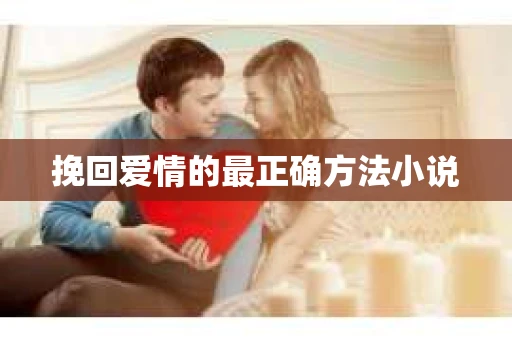 挽回爱情的最正确方法小说