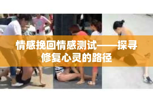 情感挽回情感测试——探寻修复心灵的路径