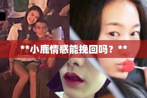 **小鹿情感能挽回吗？**