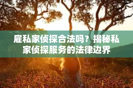 雇私家侦探合法吗？揭秘私家侦探服务的法律边界