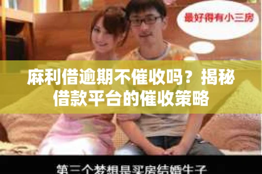麻利借逾期不催收吗？揭秘借款平台的催收策略