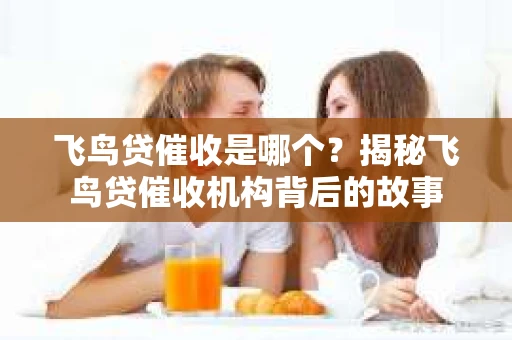 飞鸟贷催收是哪个？揭秘飞鸟贷催收机构背后的故事