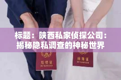 标题：陕西私家侦探公司：揭秘隐私调查的神秘世界