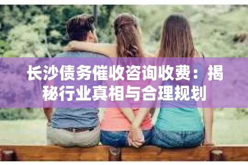 长沙债务催收咨询收费：揭秘行业真相与合理规划