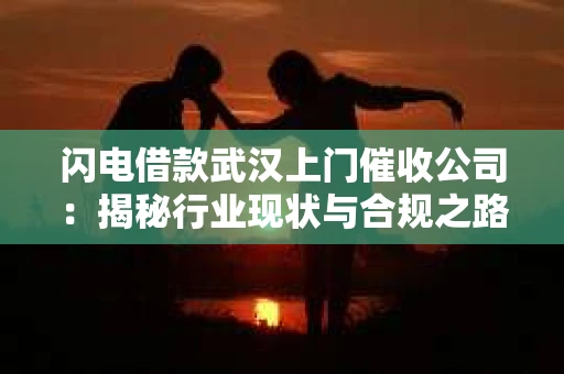 闪电借款武汉上门催收公司：揭秘行业现状与合规之路