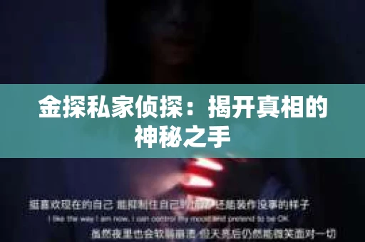 金探私家侦探：揭开真相的神秘之手