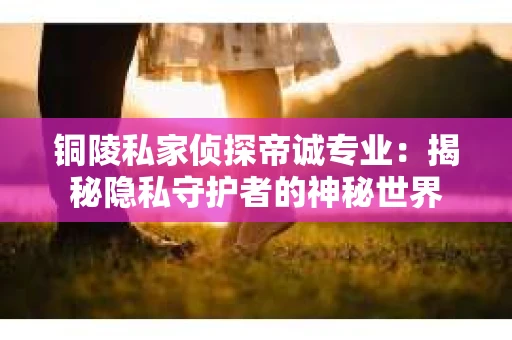 铜陵私家侦探帝诚专业：揭秘隐私守护者的神秘世界