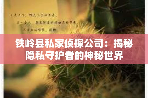 铁岭县私家侦探公司：揭秘隐私守护者的神秘世界