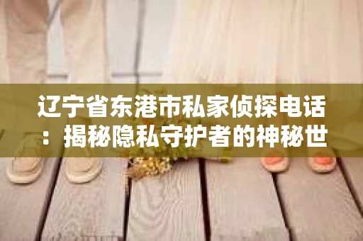 辽宁省东港市私家侦探电话：揭秘隐私守护者的神秘世界