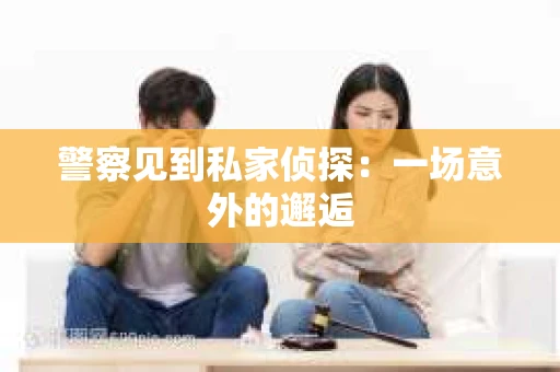 警察见到私家侦探：一场意外的邂逅