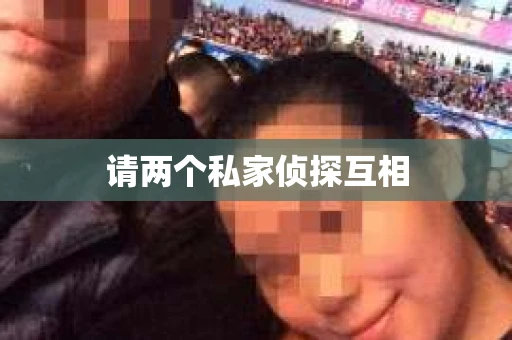 请两个私家侦探互相