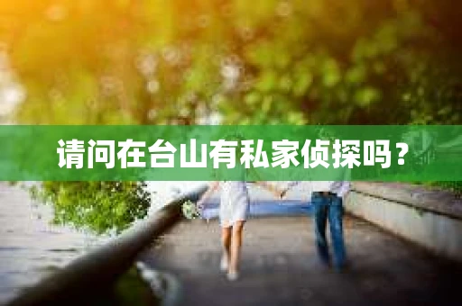 请问在台山有私家侦探吗？