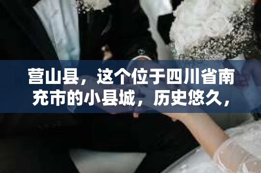 营山县，这个位于四川省南充市的小县城，历史悠久，风景秀丽。但在这个宁静的小县城里，你是否会好奇，有没有私家侦探的存在呢？今天，我就来和大家聊聊这个话题。