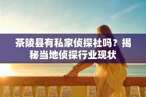 茶陵县有私家侦探社吗？揭秘当地侦探行业现状