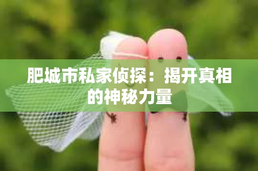 肥城市私家侦探：揭开真相的神秘力量