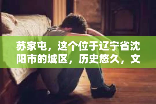 苏家屯，这个位于辽宁省沈阳市的城区，历史悠久，文化底蕴深厚。近年来，随着社会的发展，人们对于私家侦探的需求也逐渐增加。那么，苏家屯有私家侦探吗？今天，我们就来聊聊这个话题。