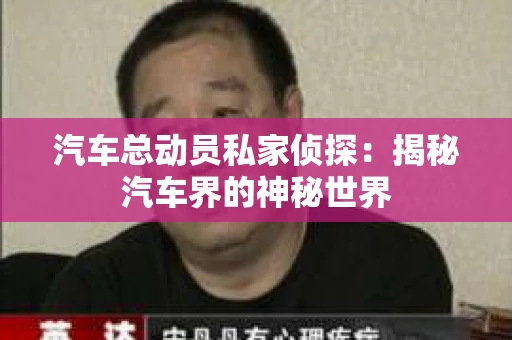 汽车总动员私家侦探：揭秘汽车界的神秘世界