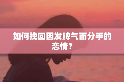 如何挽回因发脾气而分手的恋情? 如何挽回因发脾气而分手的恋情?