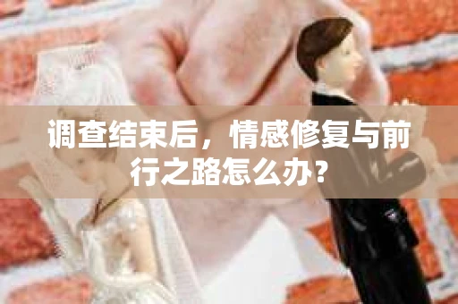 调查结束后，情感修复与前行之路怎么办？