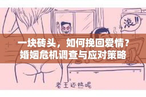 一块砖头，如何挽回爱情？婚姻危机调查与应对策略