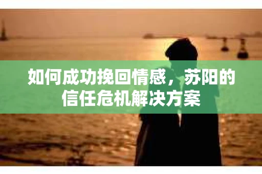 如何成功挽回情感，苏阳的信任危机解决方案