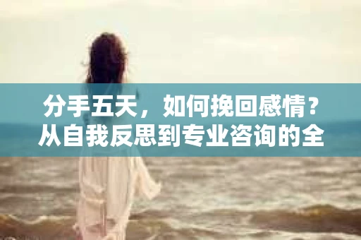分手五天，如何挽回感情？从自我反思到专业咨询的全面解决方案