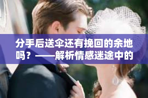 分手后送伞还有挽回的余地吗？——解析情感迷途中的决策