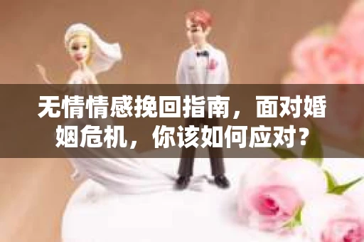 无情情感挽回指南，面对婚姻危机，你该如何应对？