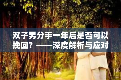 双子男分手一年后是否可以挽回？——深度解析与应对策略